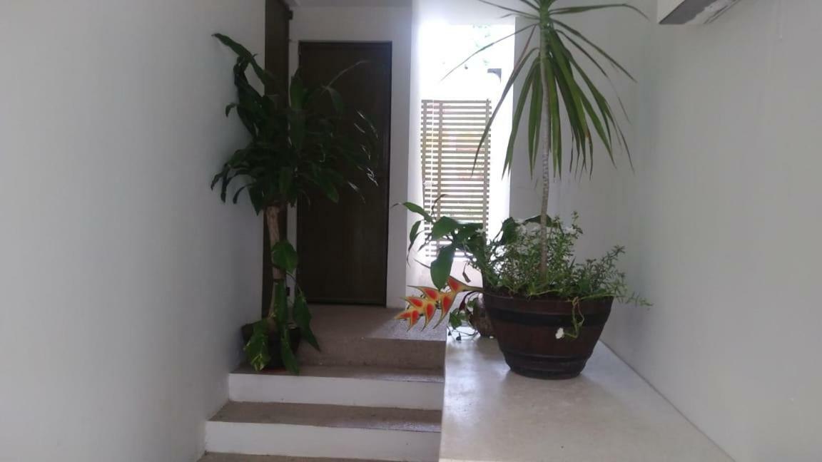 Departamentos De La Reina Roja Apartment Palenque Exterior photo